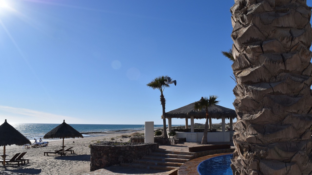 Photo of Others in Puerto Penasco