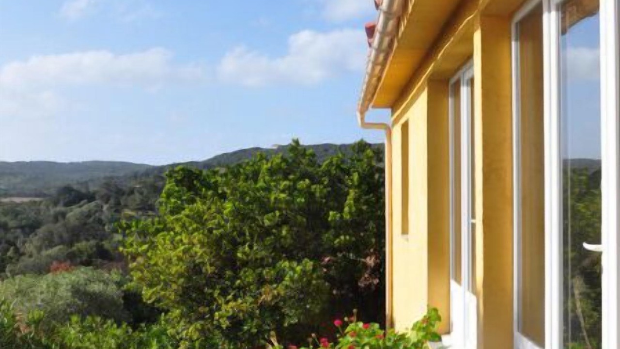 Photo of Outdoor in Maora