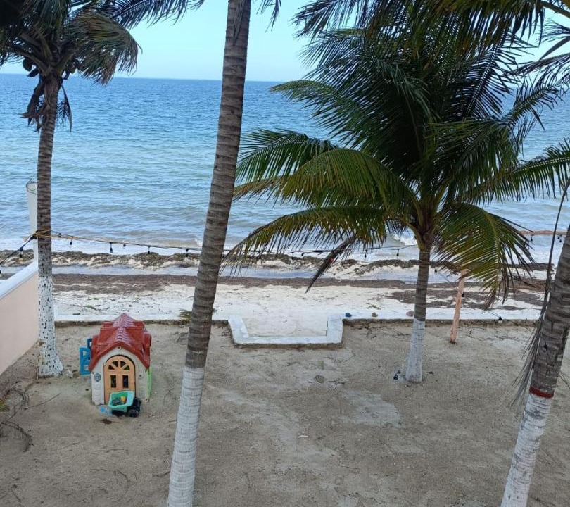Photo of Others in Telchac Puerto
