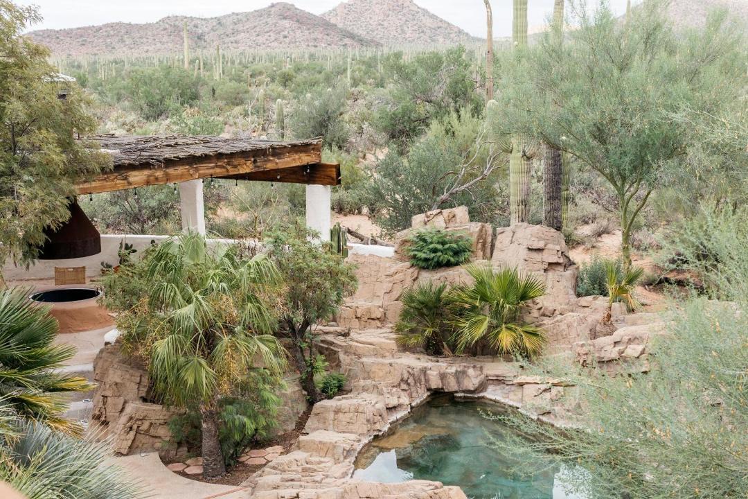 Photo of Others in Tucson