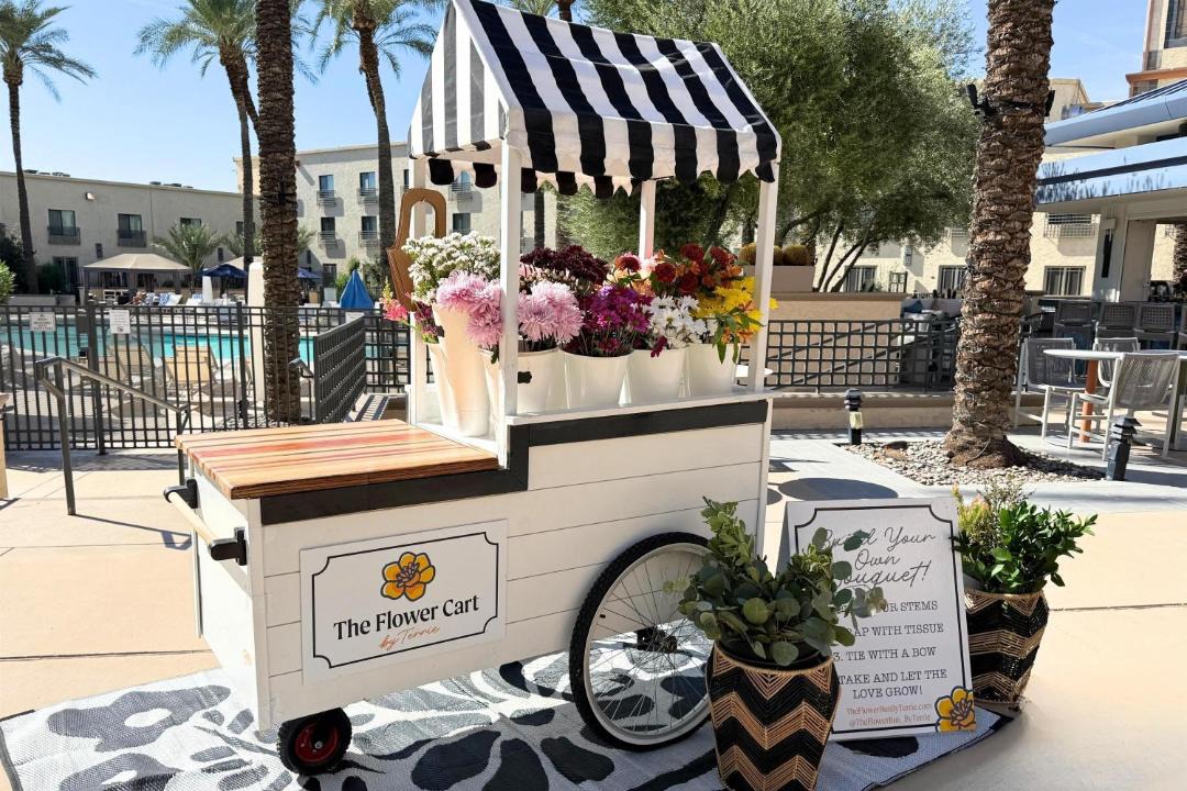 Photo of Others in South Scottsdale