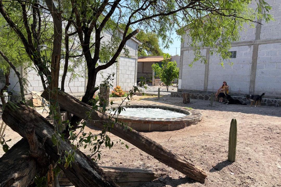 Photo of Others in Colon