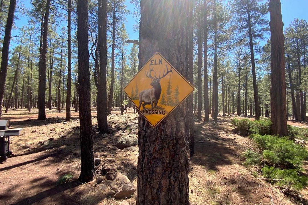 Photo of Others in Parks