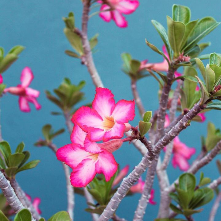 Photo of Others in Bacalar