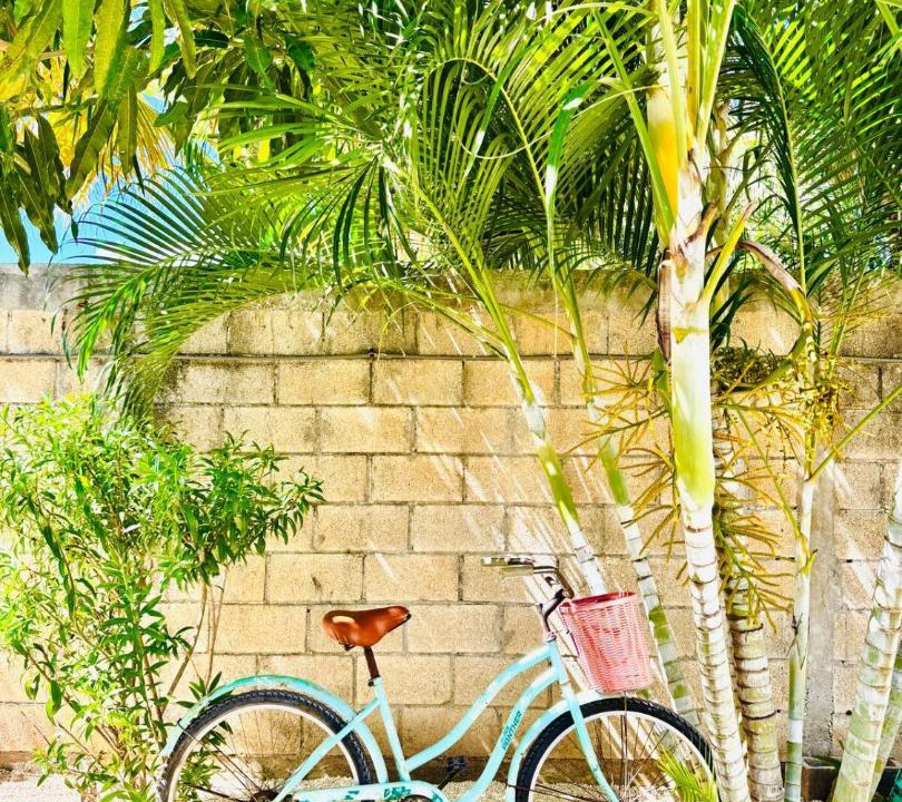 Photo of Outdoor in Majahual