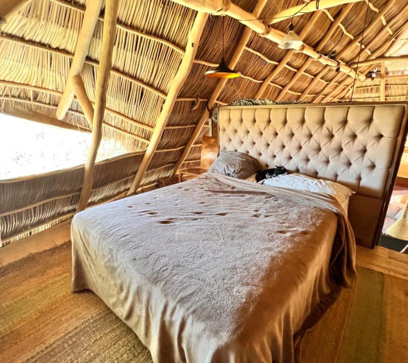 Photo of Bedroom in Sayulita