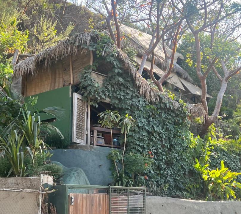 Photo of Others in Sayulita