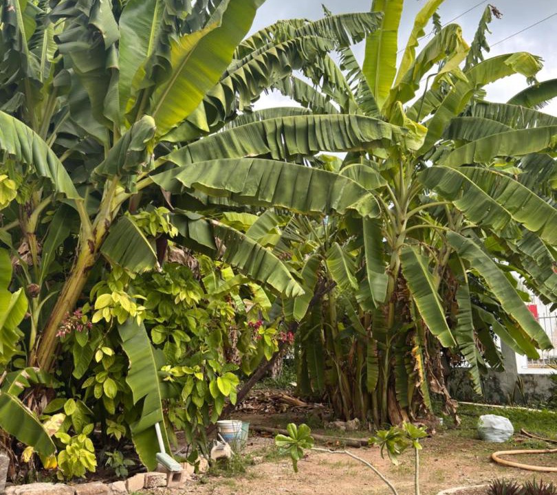Photo of Others in Calkini