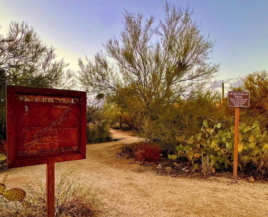 Photo of Others in Dove Mountain
