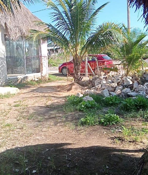 Photo of Others in Telchac Puerto