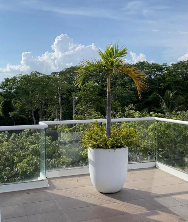 Photo of Patio Balcony in Puerto Vallarta