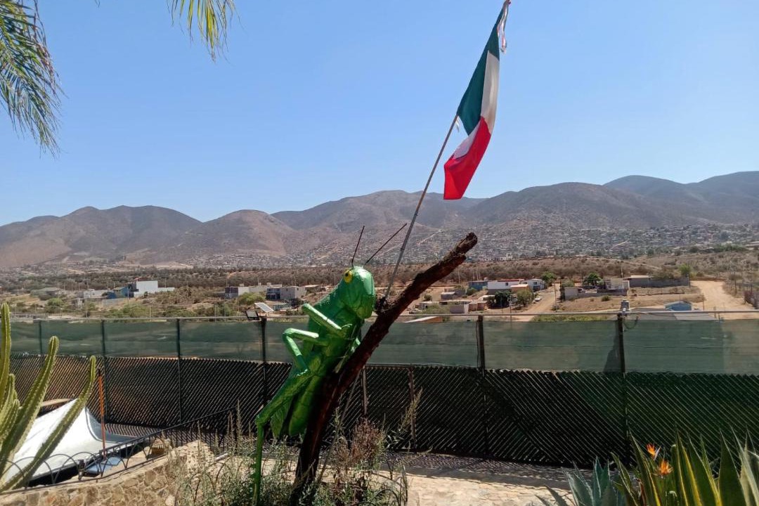 Photo of Others in Ensenada