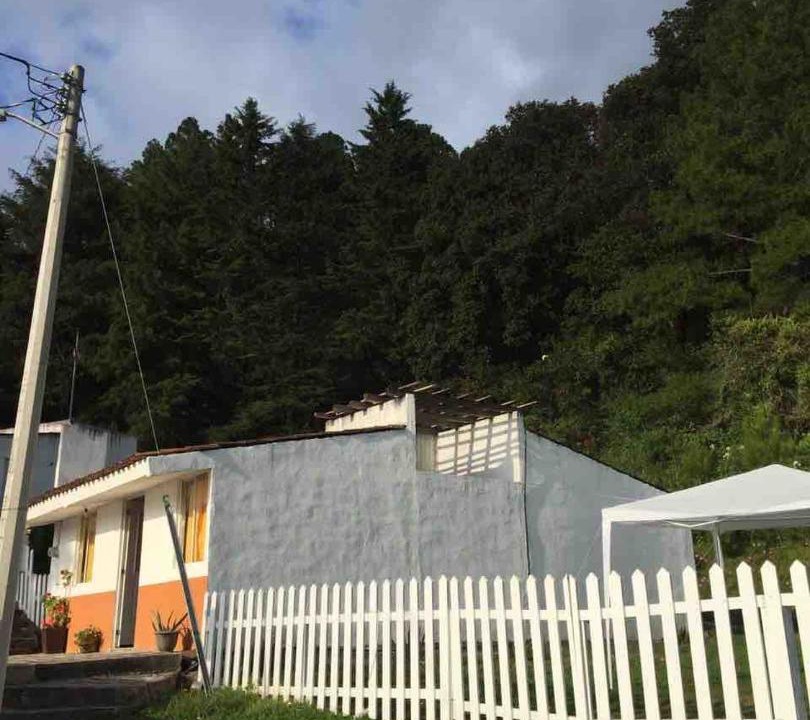 Photo of Others in Mineral de Angangueo