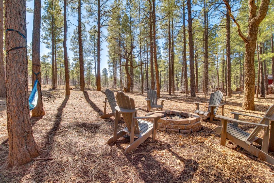 Photo of Others in Pinetop