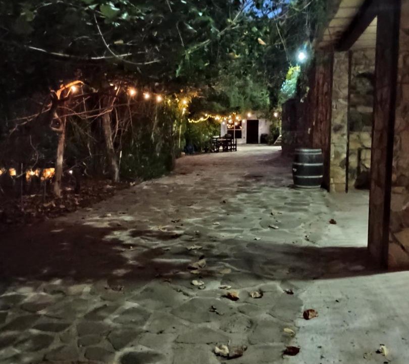 Photo of Others in Valle de Guadalupe