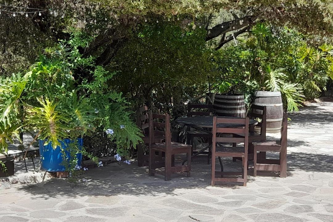 Photo of Others in Valle de Guadalupe