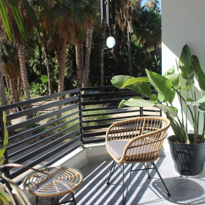 Photo of Patio Balcony in Todos Santos