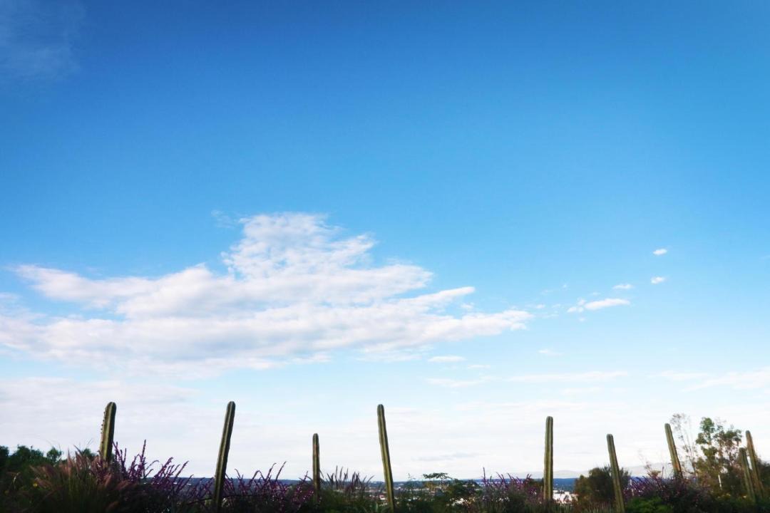 Photo of Others in San Miguel de Allende