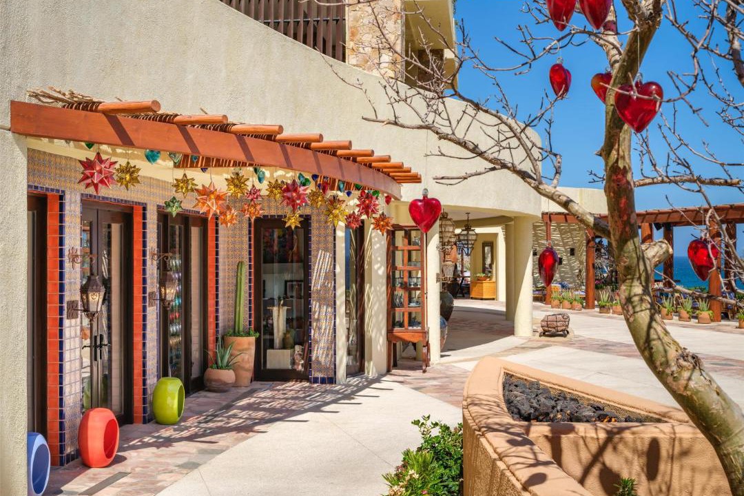 Photo of Others in Pedregal