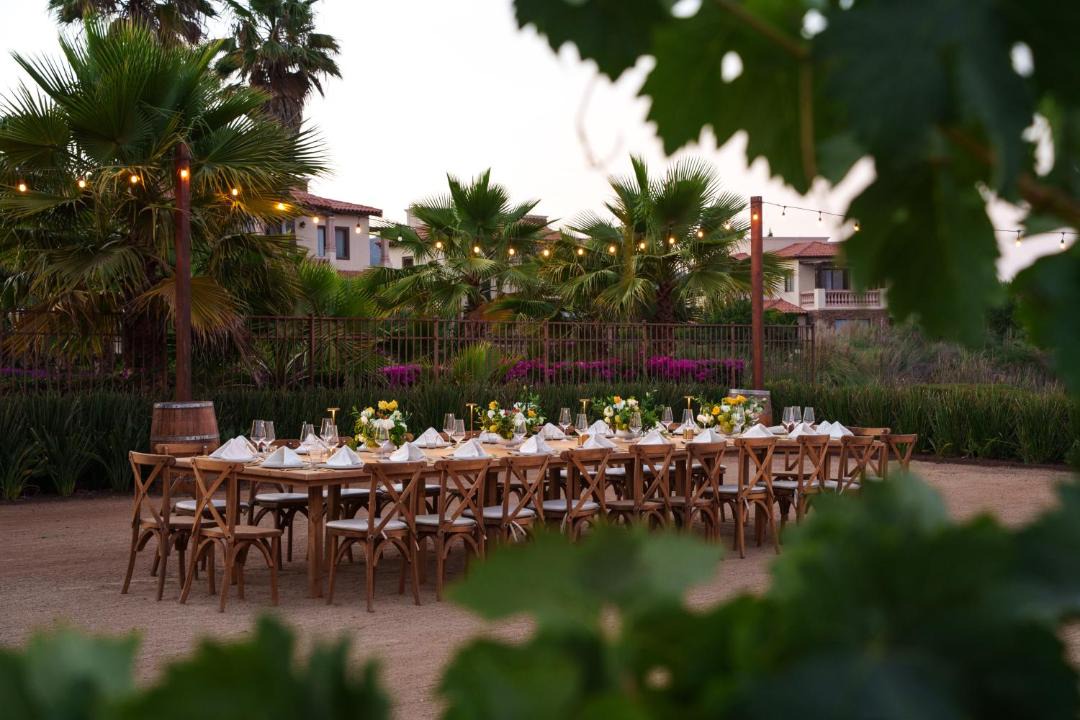 Photo of Others in Valle de Guadalupe