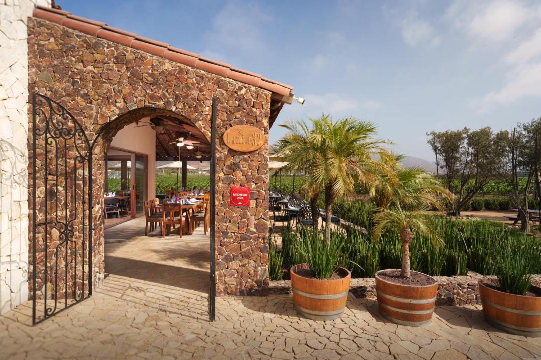 Photo of Others in Valle de Guadalupe