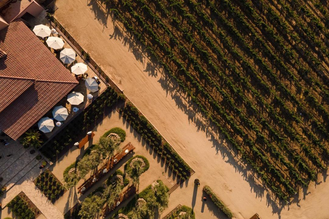 Photo of Others in Valle de Guadalupe
