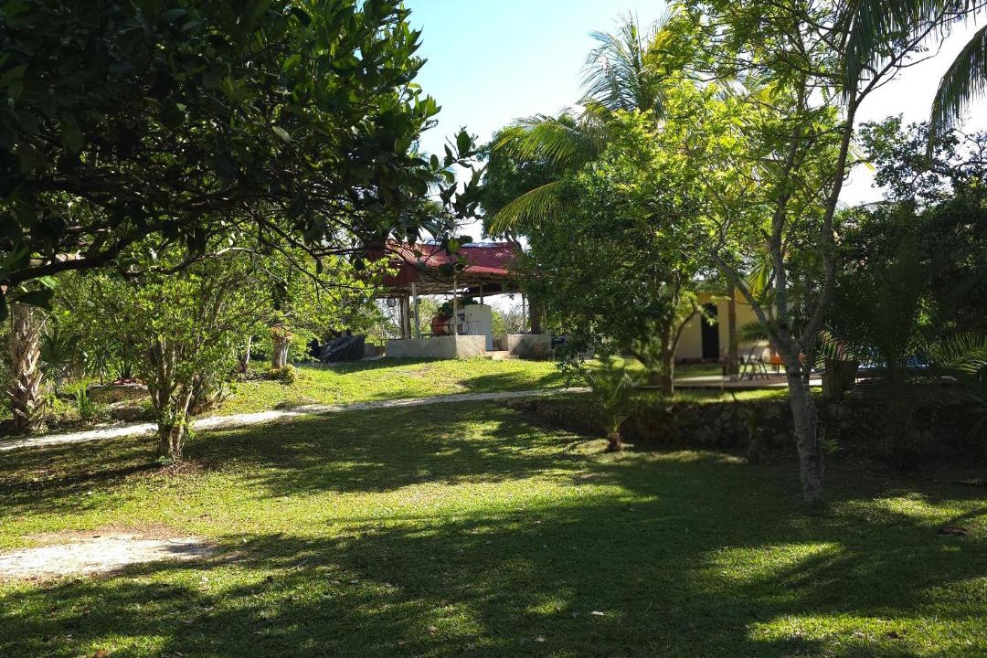 Photo of Others in Chichen Itza - Valladolid