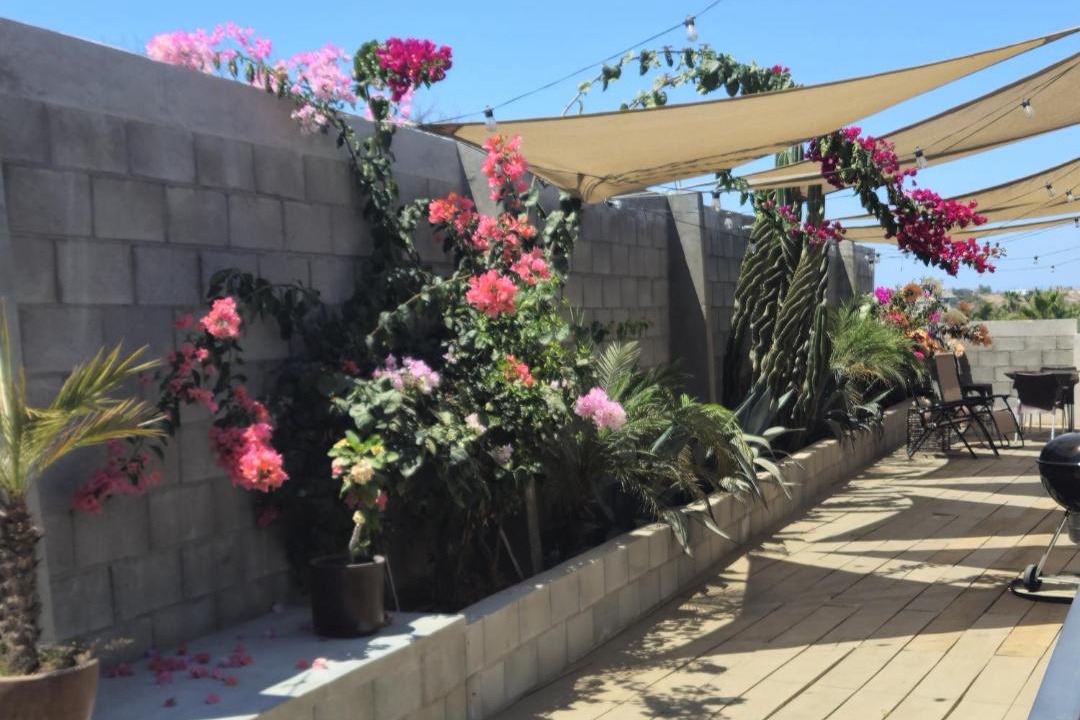Photo of Others in Todos Santos