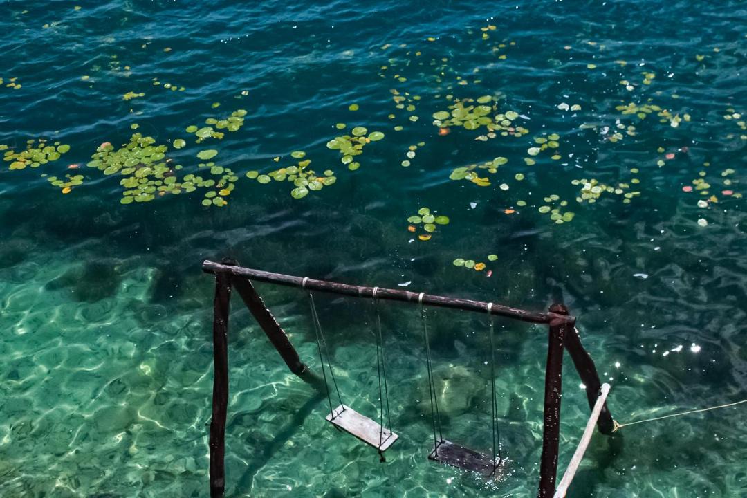 Photo of Others in Chetumal