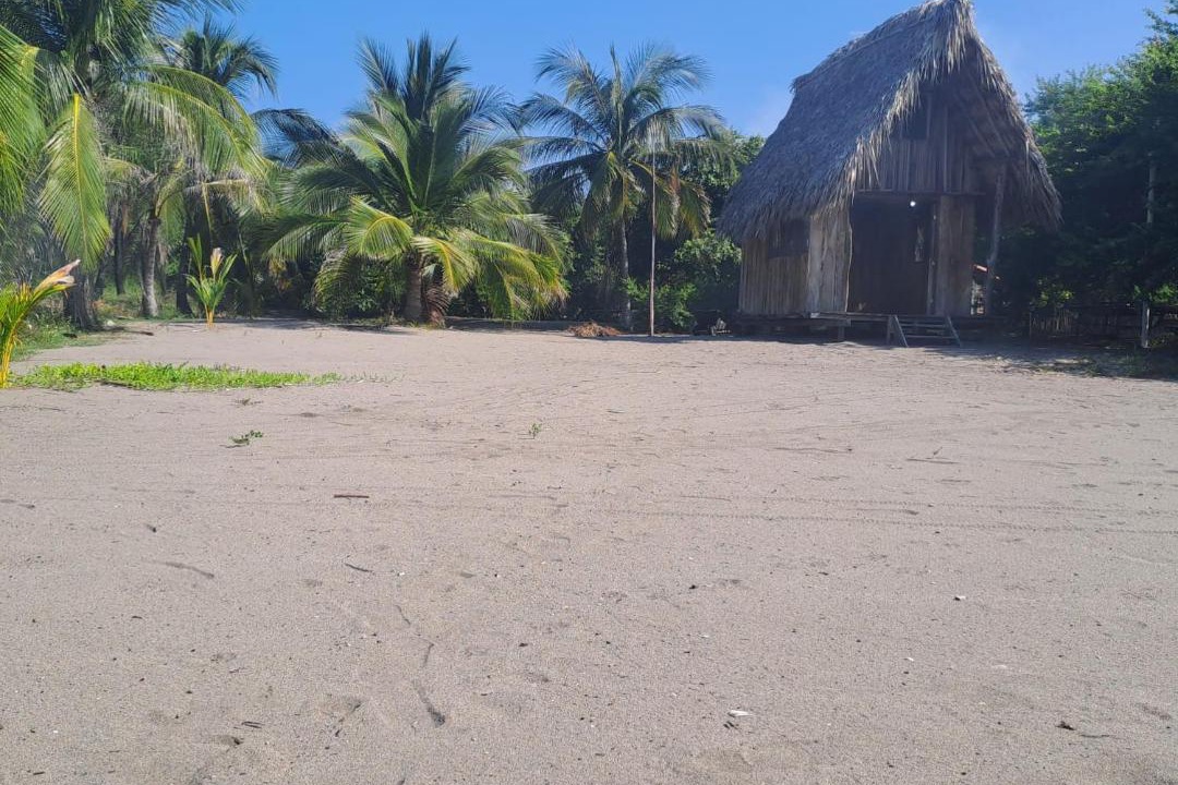 Photo of Others in Tonala