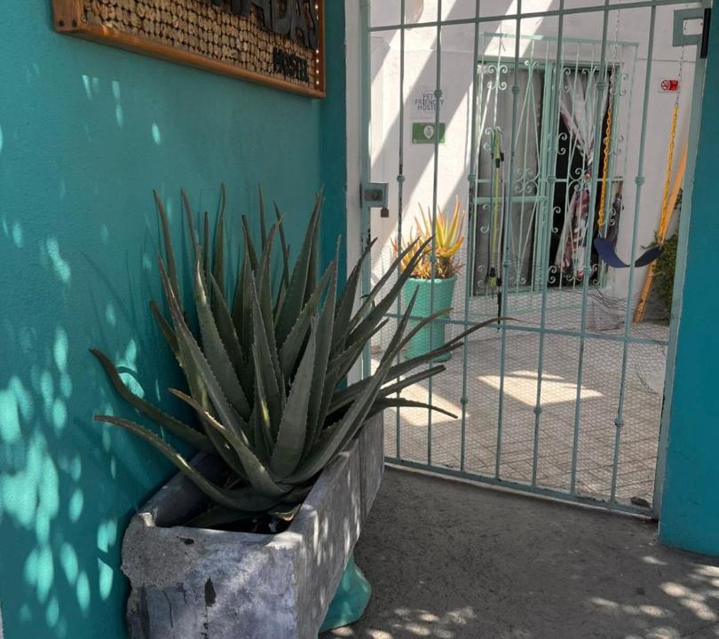 Photo of Others in La Paz