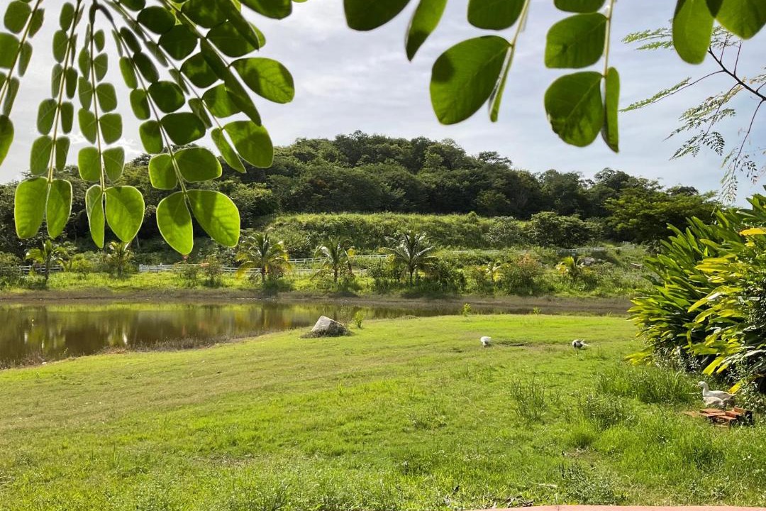 Photo of Others in Champoton