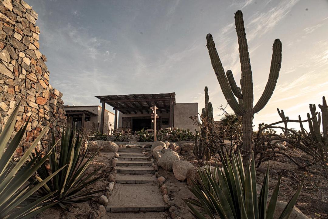 Photo of Others in Todos Santos