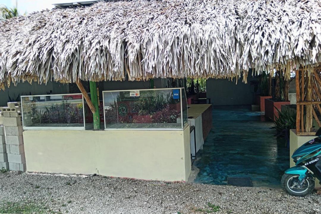 Photo of Others in Bacalar