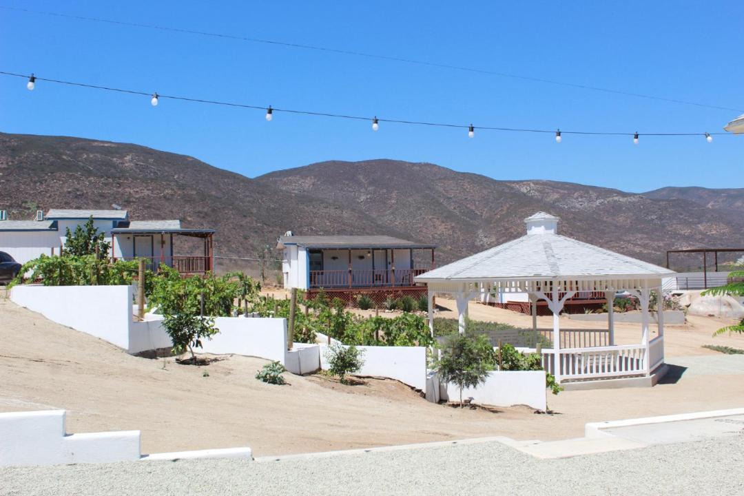 Photo of Others in Valle de Guadalupe