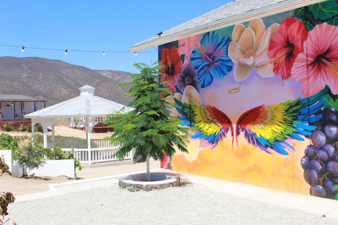 Photo of Others in Valle de Guadalupe