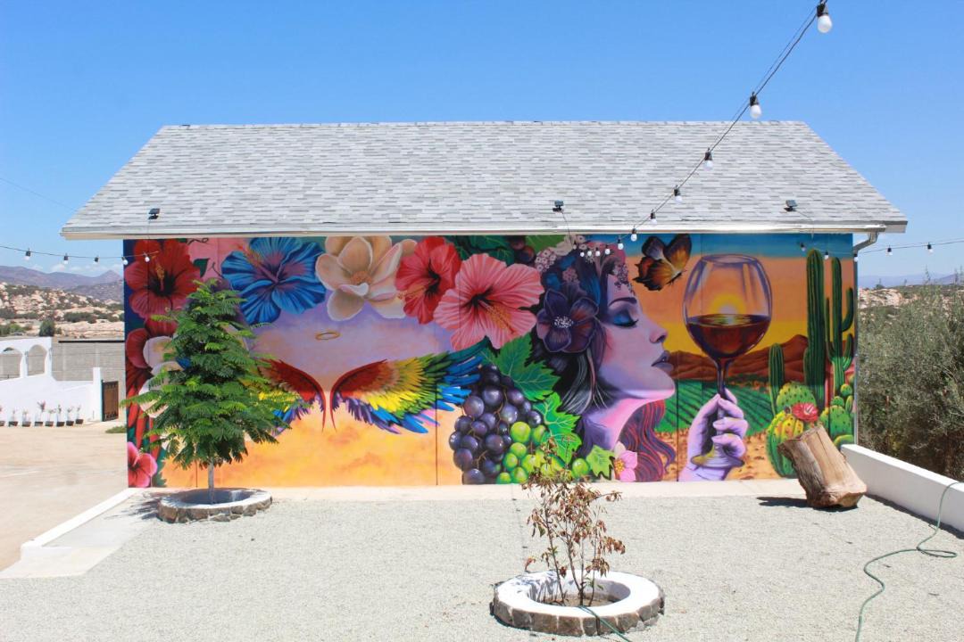 Photo of Others in Valle de Guadalupe