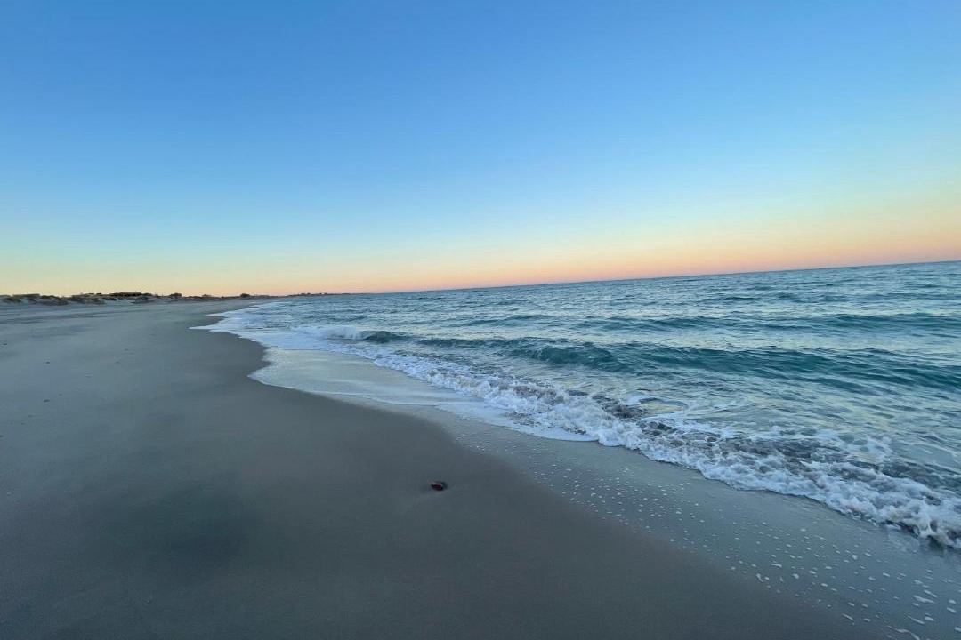 Photo of Others in Baja California
