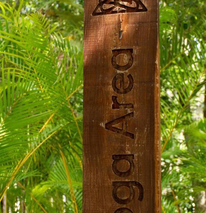 Photo of Others in Puerto Morelos