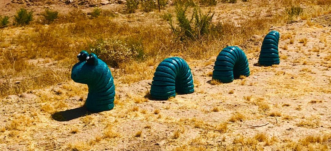 Photo of Others in San Tan Valley