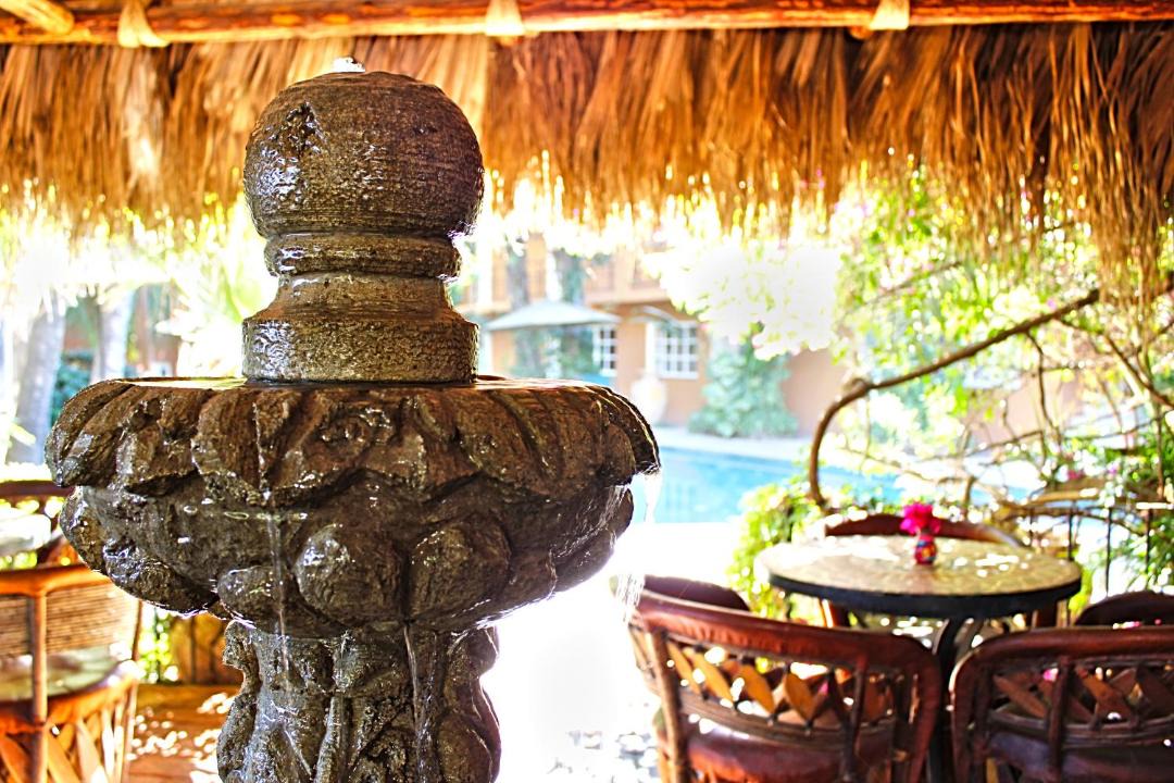 Photo of Others in Pedregal