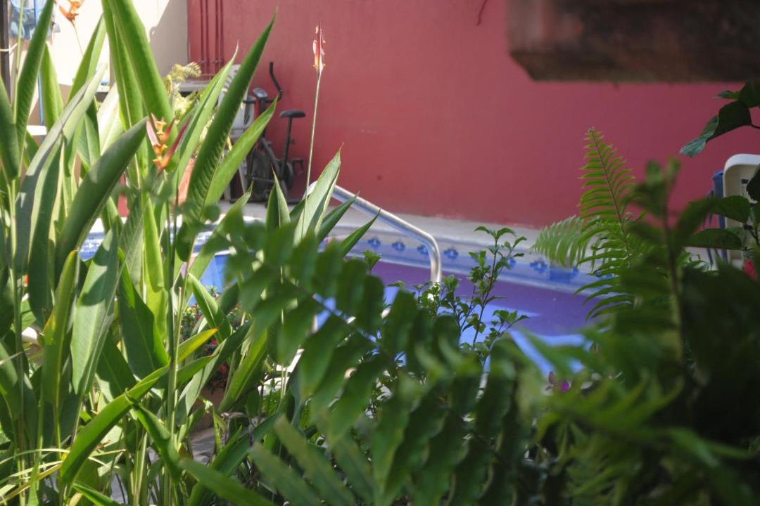 Photo of Others in La Penita de Jaltemba