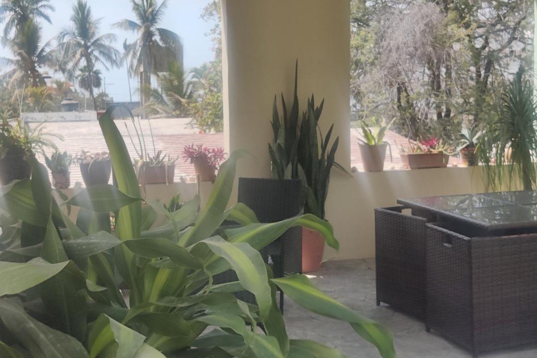 Photo of Patio Balcony in La Penita de Jaltemba