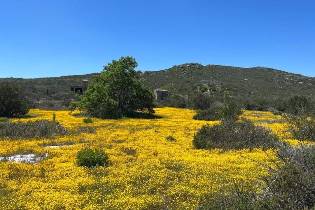 Photo of Others in Santa Veronica