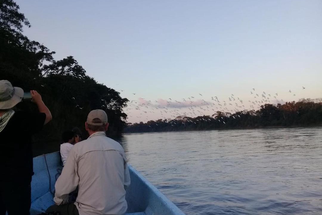 Photo of Others in Nuevo Orizaba