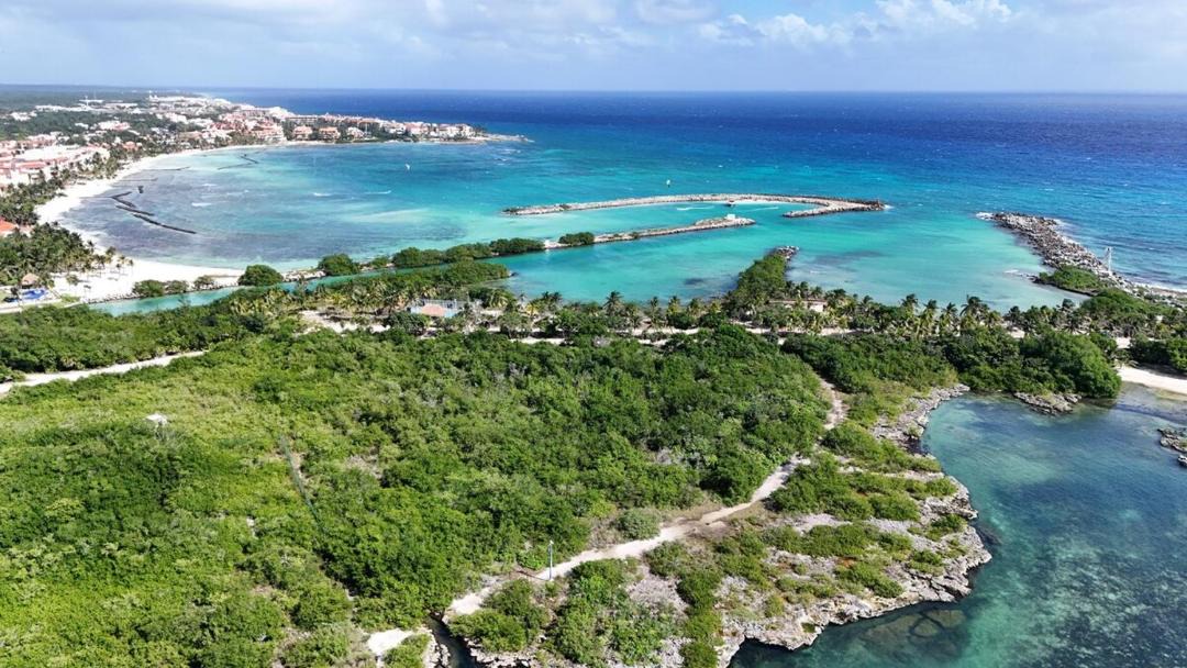 Photo of Others in Puerto Aventuras