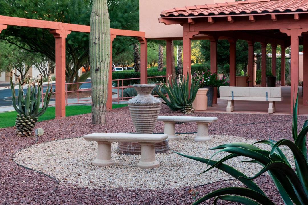 Photo of Others in Tucson