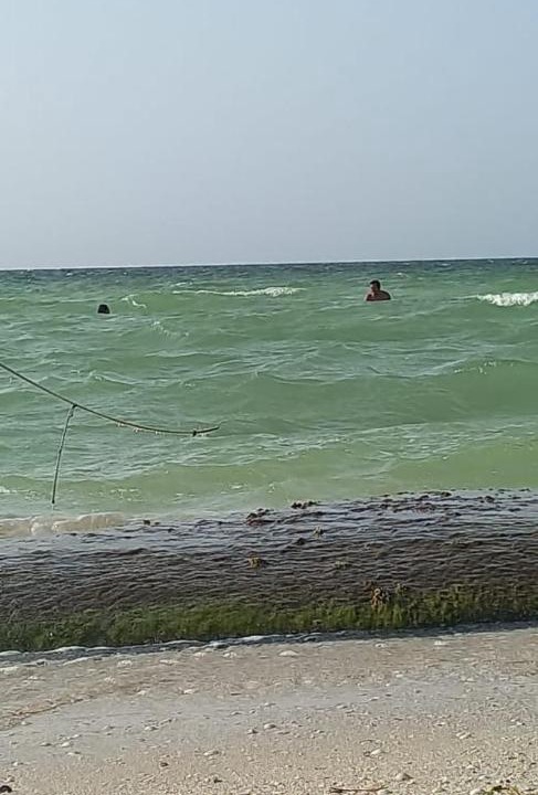 Photo of Others in Chicxulub Puerto
