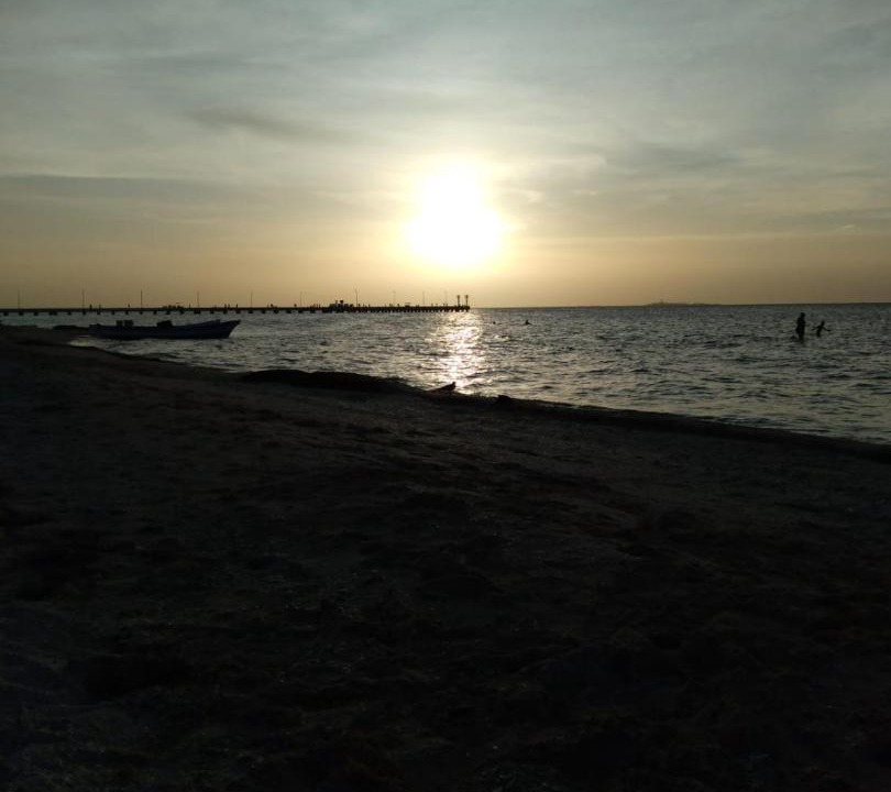 Photo of Others in Chicxulub Puerto