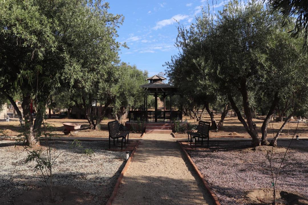 Photo of Others in Valle de Guadalupe